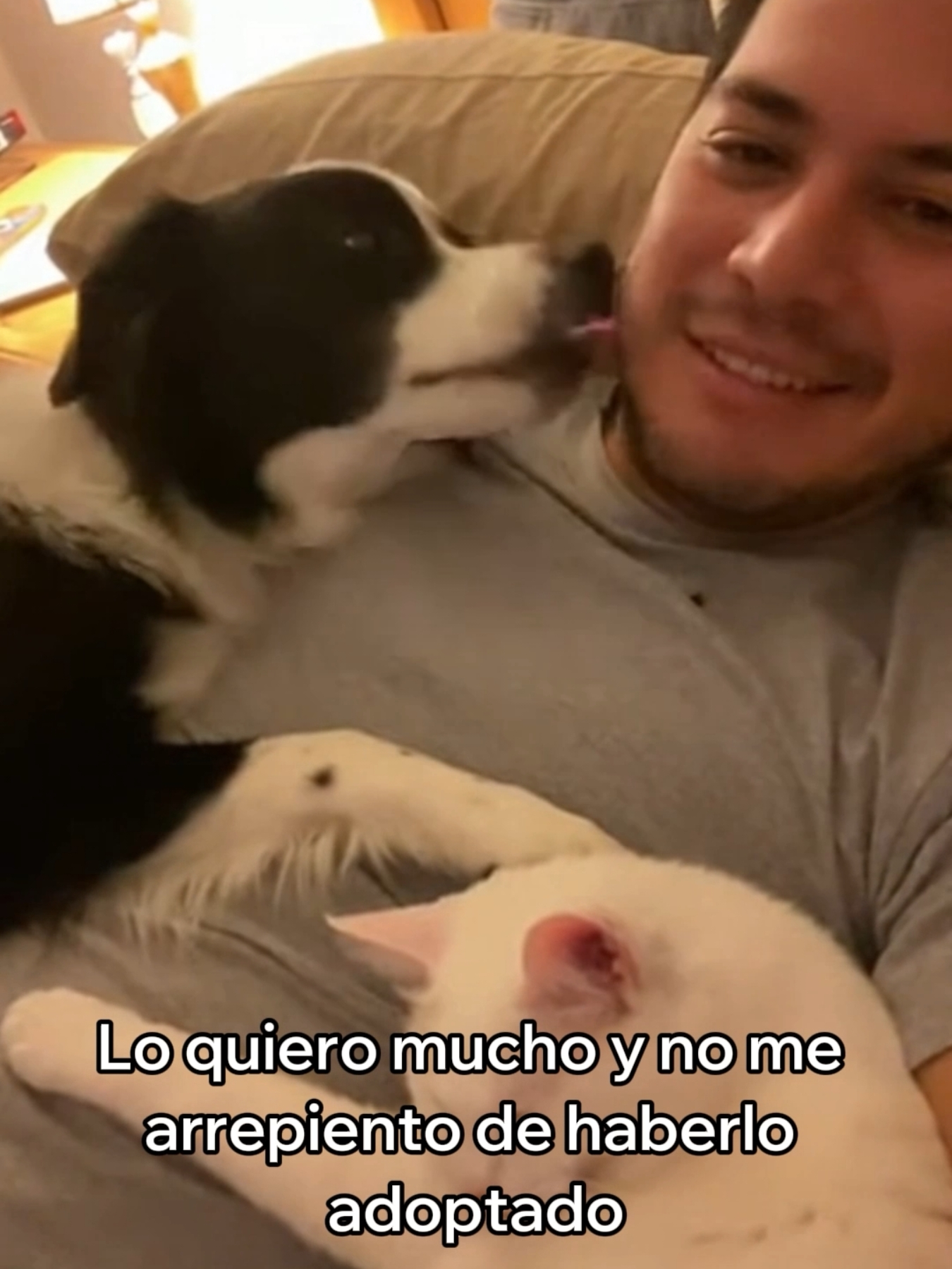 Adopté a Este Perro Abandonado