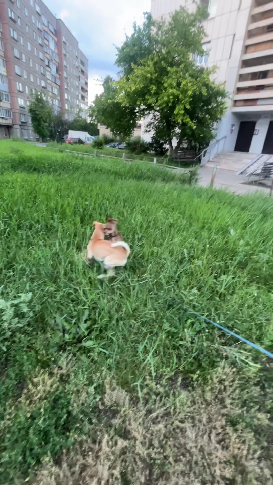 хаахахахахах 