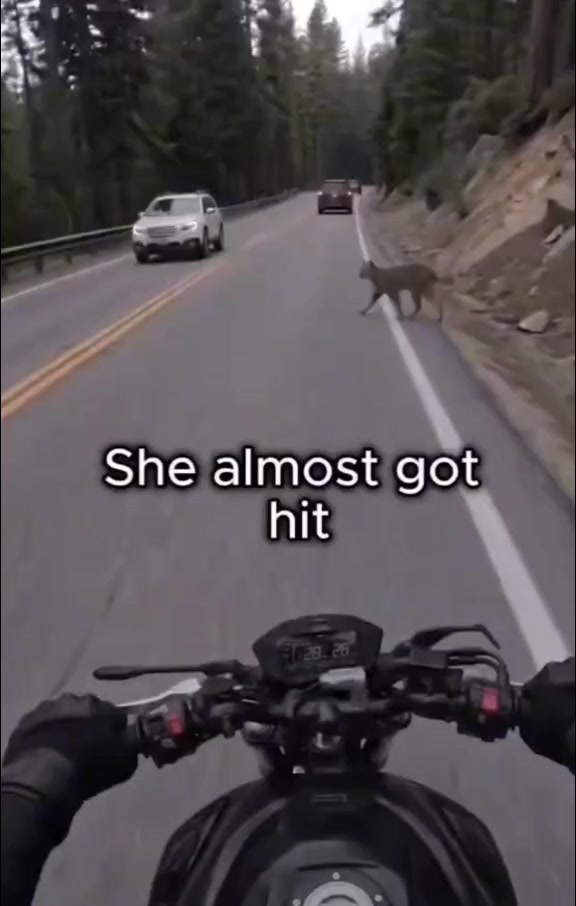TikTok video