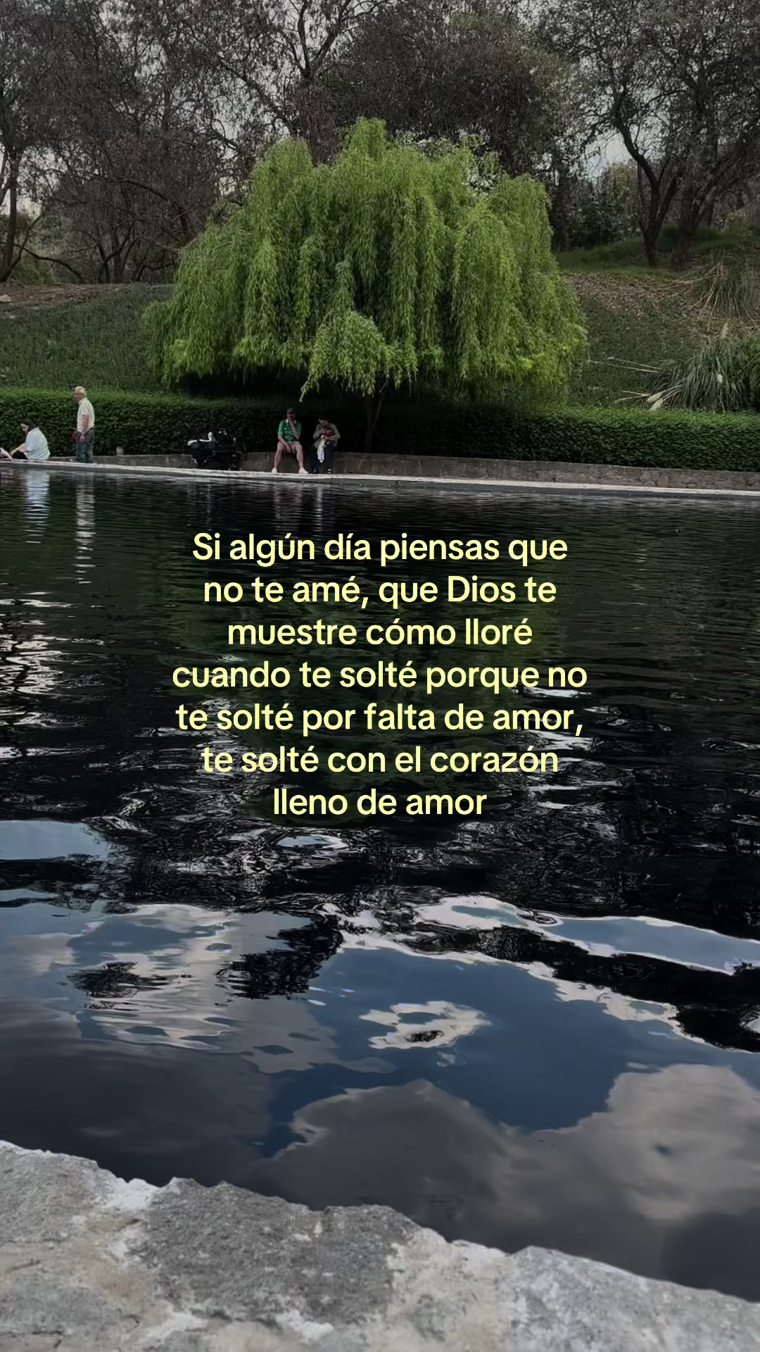 #amor #soltar #dios #😔💔🥀 #fry