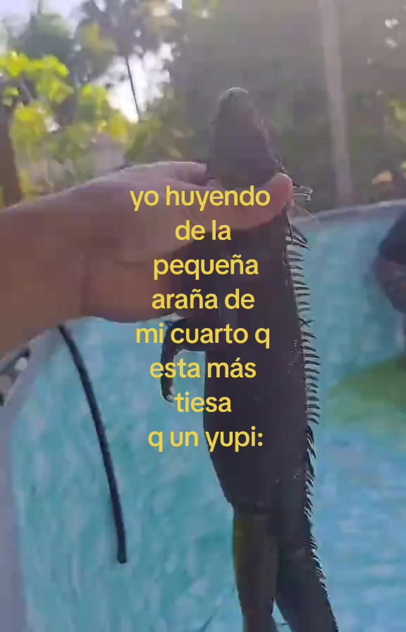 #ponmeenparati #identificarse #xyzbca #zxycba #humor 