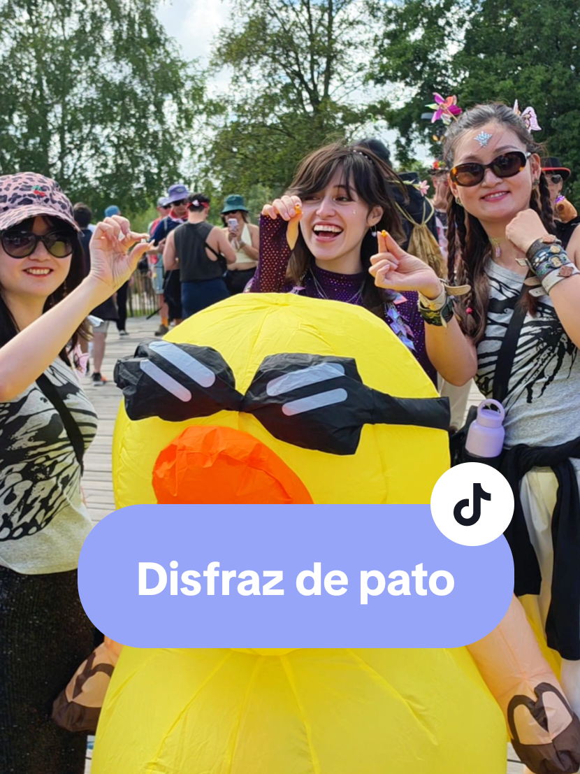 De los mejores videos que he grabado en mi vida 🤣👌🏻 #disfraz #pato #tomorrowland #humor #liizabaez 